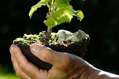 3. Platz: Kristin Lenich mit 