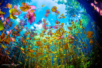 1. Platz: Nicole Wächter mit 