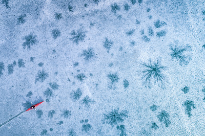 1. Platz: Stefan Thaler mit 