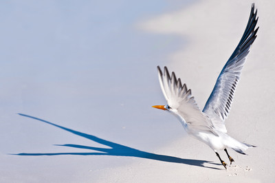 Udo Dreesmann - Starten - Auszeichnung in der Kategorie 