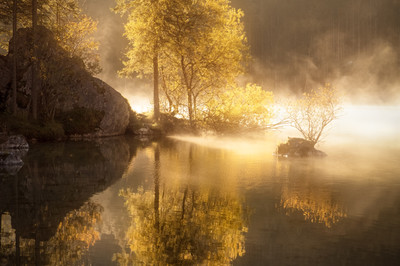 Markus van Hauten - Morgennebel - Auszeichung in der Kategorie 