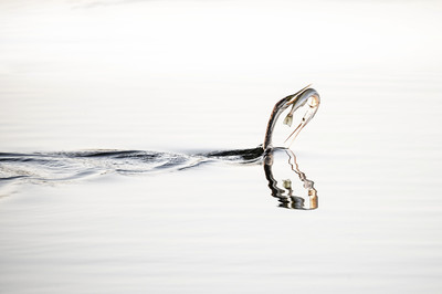 1. Platz: Marc Hofmann mit 