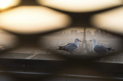 Katja Beer - Je t´aime! - Auszeichnung in der Kategorie 