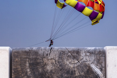 Helmuth Zornek - Im Flug gestoppt - Auszeichnung in der Kategorie 