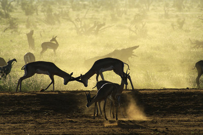 Susan Michel - Game over - Auszeichnung in der Kategorie 