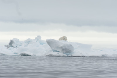 Jan-Helge Tholander - Schlafmütze - Auszeichnung in der Kategorie 