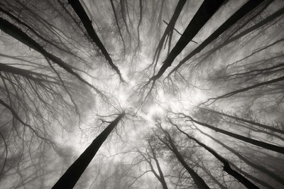 Judith Kuhn - verloren im Nebel / Auszeichnung - Kategorie „Schwarzweißfotografie„