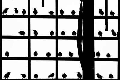Robert Sommer - Einzelzimmer frei / Auszeichnung - Kategorie „Schwarzweißfotografie„